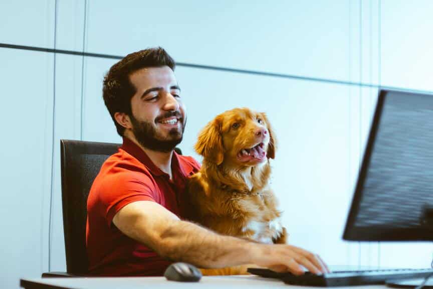 travailleur assis devant un ordinateur avec chien sur les genoux